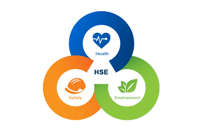 HSE Management Project at Cognizance Caribbean