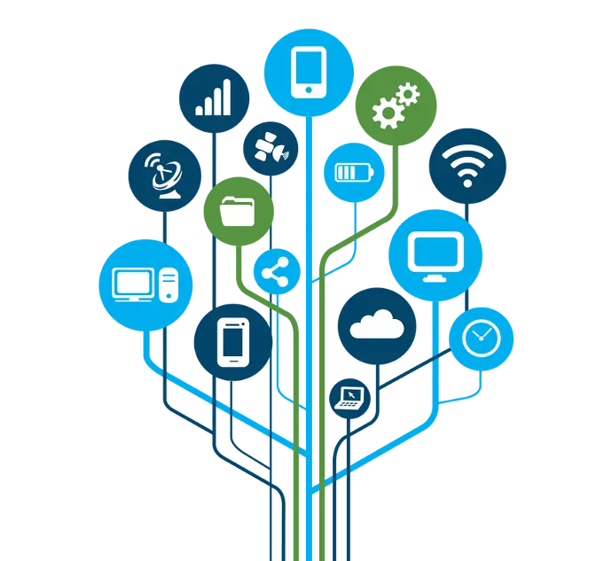 Discover our services at Cognizance Caribbean